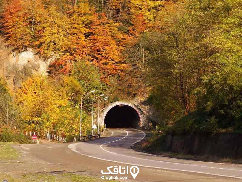 تونلی در میان طبیعت و درختانی که به رنگ سبز و زرد و نارنجی هستند