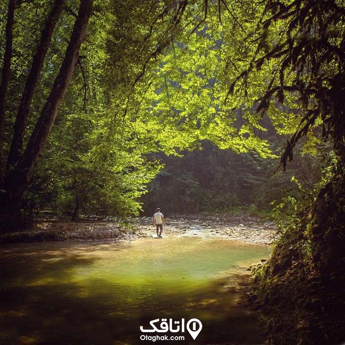  پلنگ‌دره از جاذبه‌های شیرگاه
