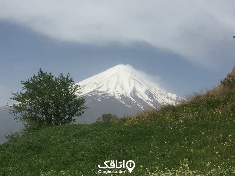 دشت‌ی سر سبز و زیبا به نام دشت رینه