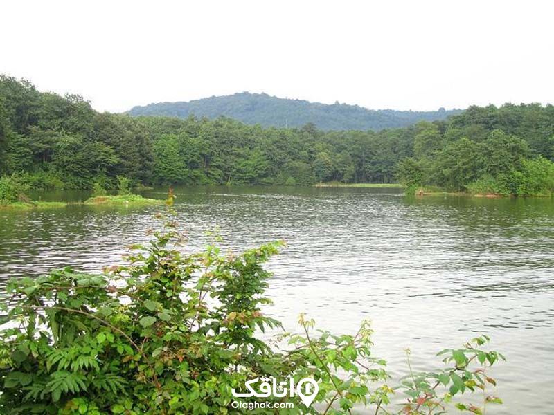 دریاچه ای پر آب منتهی به سد سنبل رود و طبیعت سبز رنگ اطراف آن
