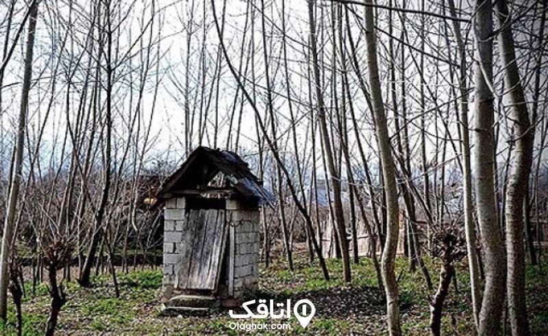روستای بورخانی از جاهای دیدنی شیرگاه