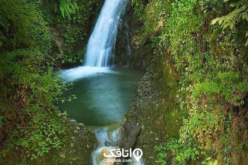 آبشار ی جاری شده در طبیعت و گیاهانی اطراف آن 