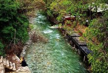 روستای برغان کجاست | سفر به مهد چنارهای هزارساله ایران