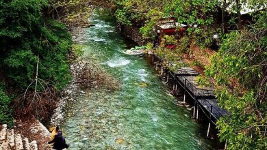 روستای برغان کجاست | سفر به مهد چنارهای هزارساله ایران