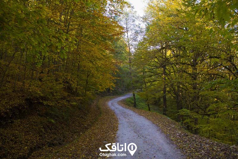 پارک جنگلی تلار قائم‌شهر