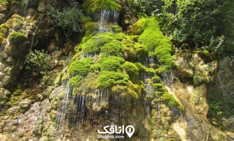 آبشاری روان از روی سنگ های کوه کهخزه بسته اند به نام سیسنگان