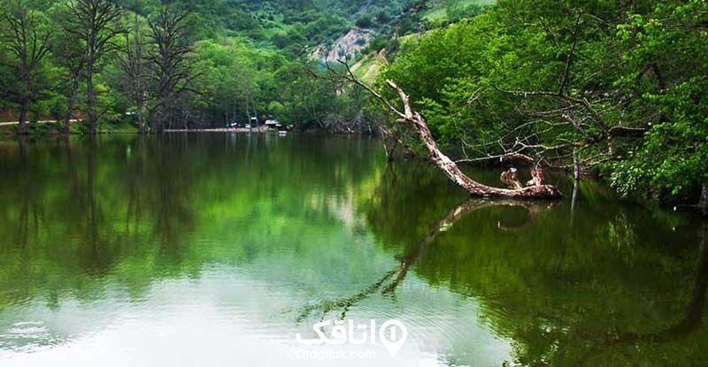 دریاچه ای در میان طبیعت سر سبز الیمالات 