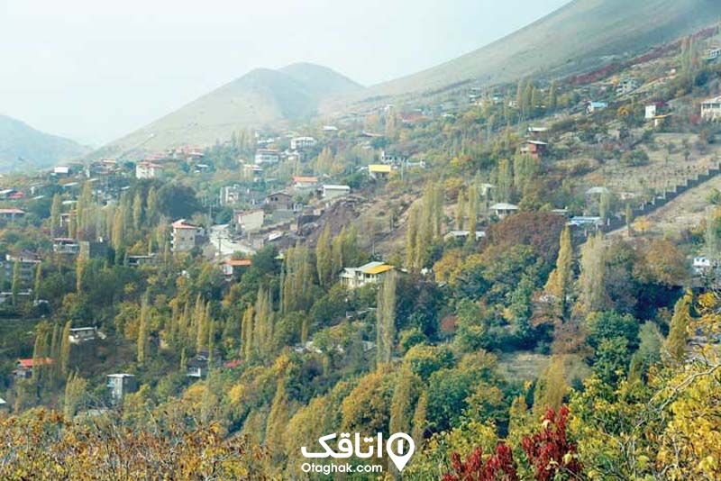 خانه های محصور شده بین درختان در روستای امامه 