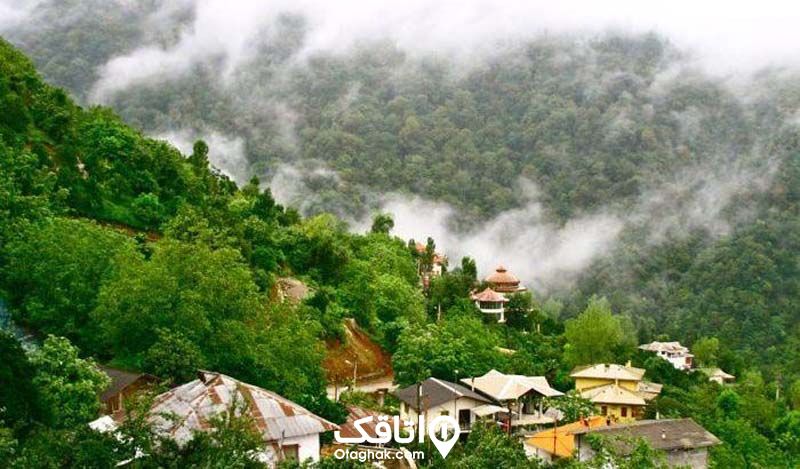 خانه هایی با سقف شیروانی بر روی کوهی پوشیده از درختان که مه فرا گرفته 