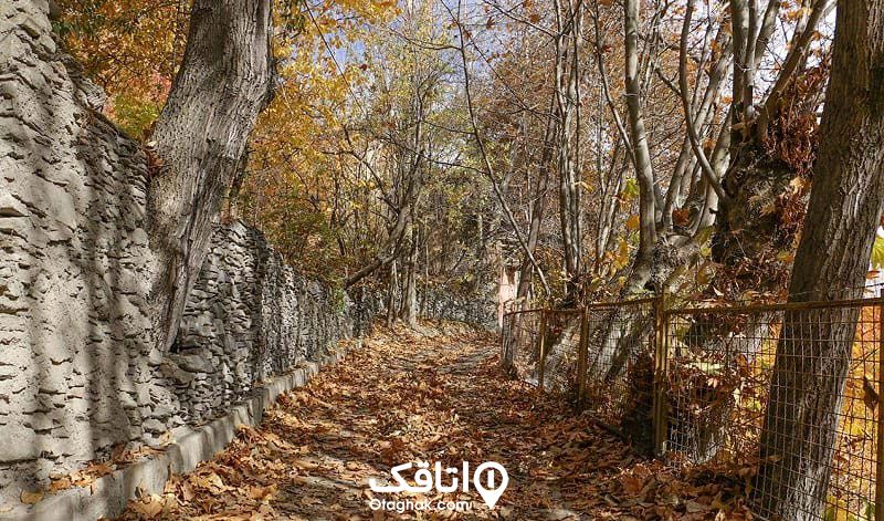 راه های دسترسی به طرقبه 