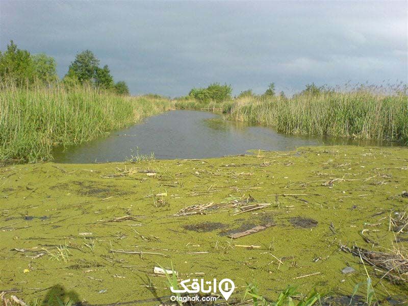 روستاهای دیدنی چمخاله