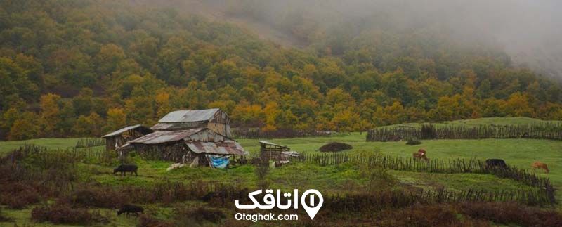 روستای اسپیلی دیلمان