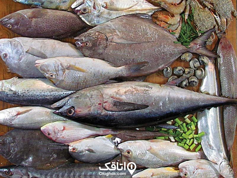 ماهی سوغات آبادان