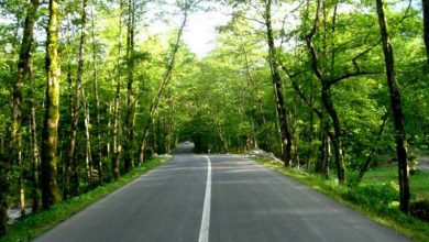 صنایع دستی و سوغات سه هزار شهسوار