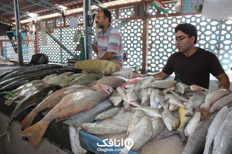 دو مرد در یک مغازه ماهی فروشی و نعداد زیادی ماهی جلوی آنها 