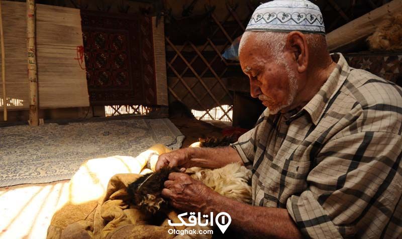 پوستین بافی سوغات طرقبه