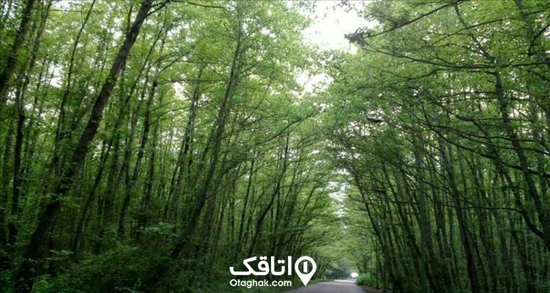 آب و هوای آستانه اشرفیه