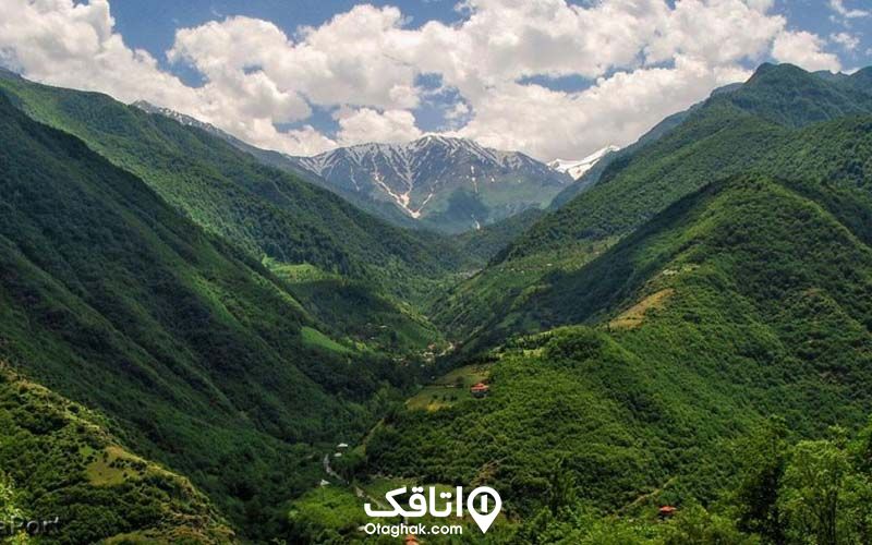 کوهستان سرسبز و کوه های پوشیده از درخت 