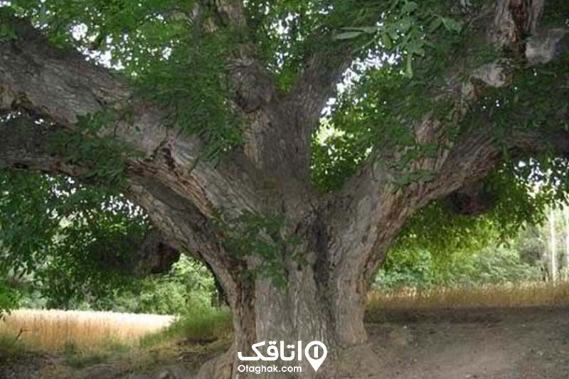 روستای زناسوج از دیدنی‌های الموت