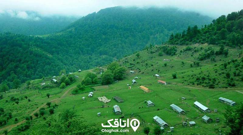 دشت سرسبز آلنزه در ارتفاعات کوهستانی مشرف به کوهستان جنگلی