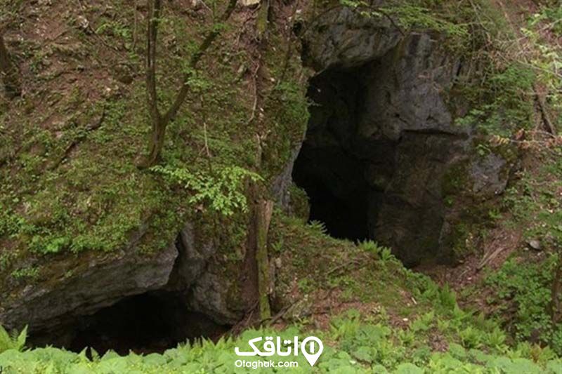 تصویر قسمت ورودی غار آویشو پر از جلبک و سبزه