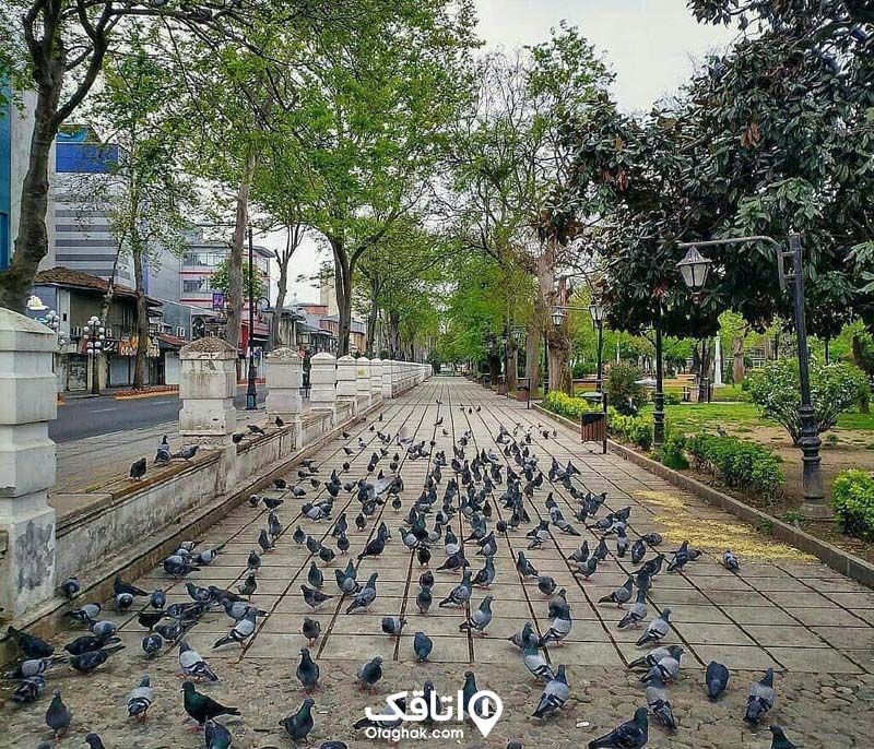 گردش در میدان شهرداری رشت