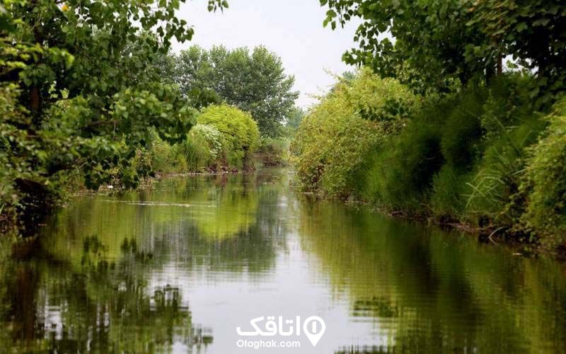 خمام کجاست