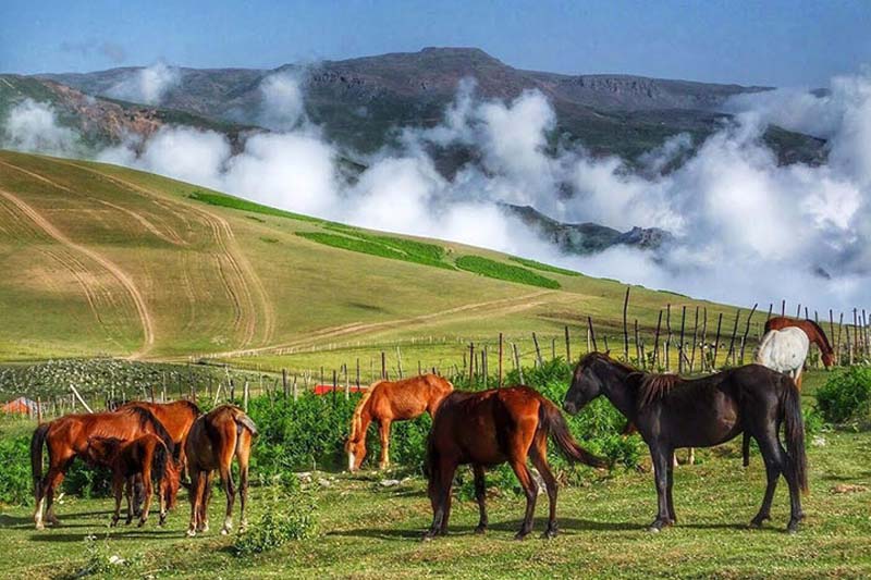 تالش کجاست؟ | طبیعت شگفت‌انگیز گیلان