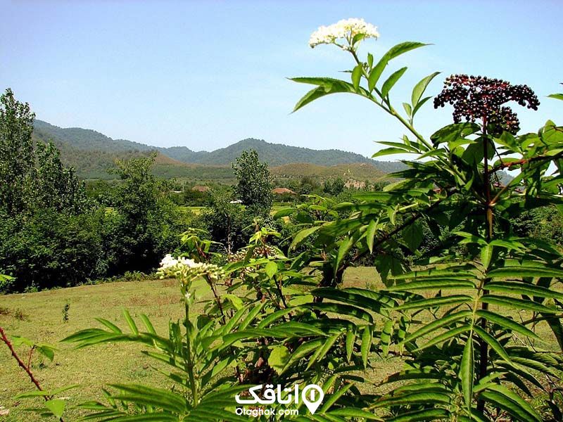 ییلاق سوباتان تالش