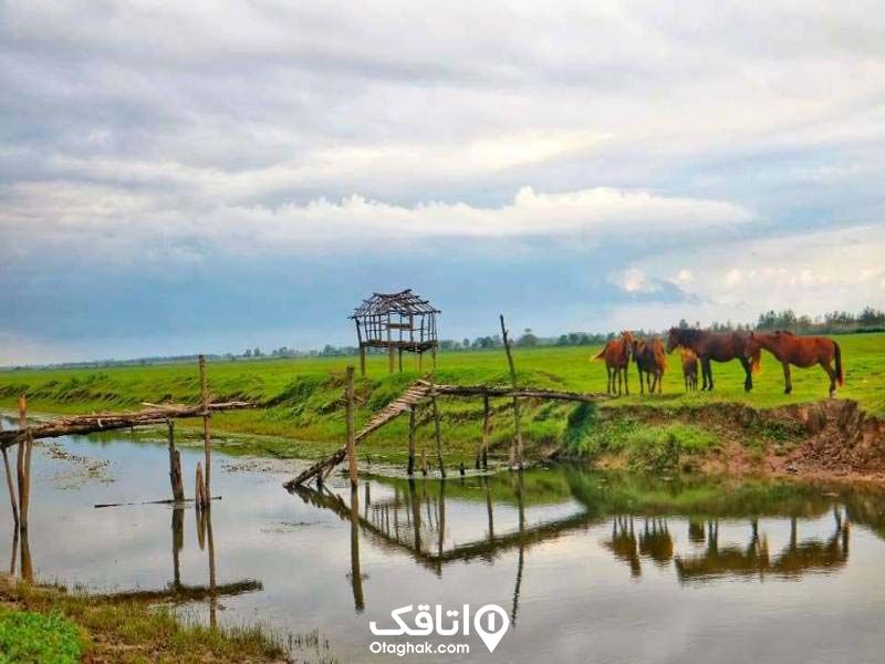 از دیدنی های خمام