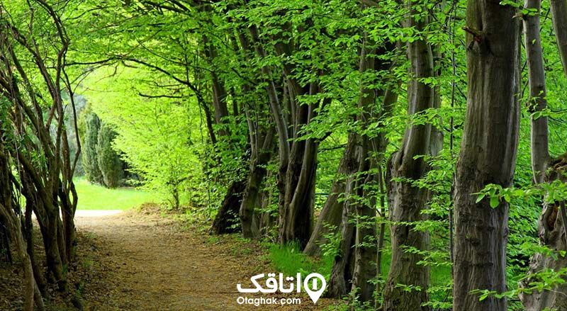 سفر خانوادگی نوشهر