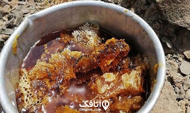 عسل کوهی سوغات کلاله