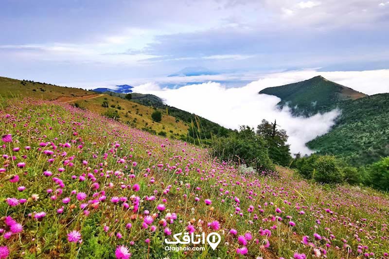 ییلاق سلانسر رودبار جاهای دیدنی گیلان