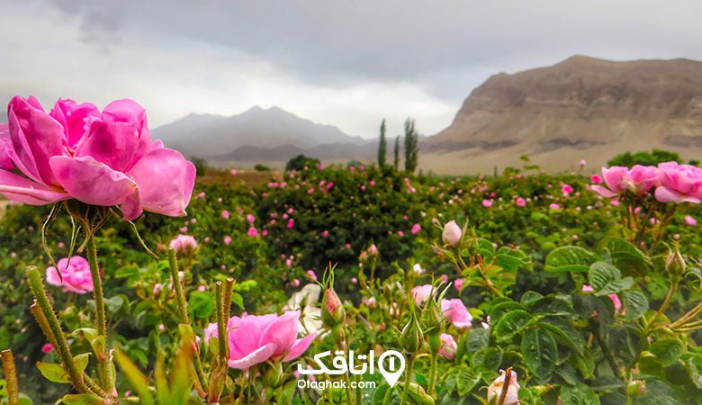 ۱۰ مقصد شگفت انگیز در اردیبهشت