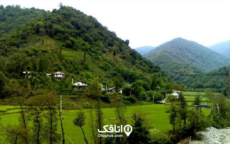 منطقه ای سر سبز با کوه هایی پوشیده شده از درختان و خانه هایی با سقف های شیروانی 