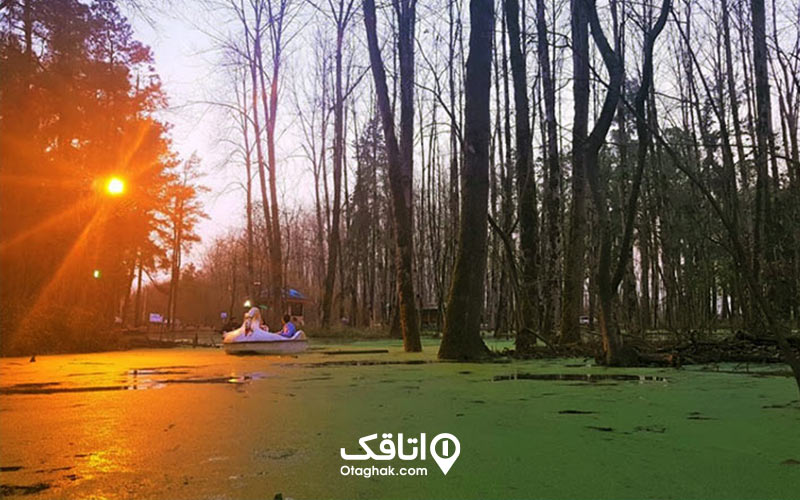 پارک جنگلی سراوان از جاهای دیدینی سنگر