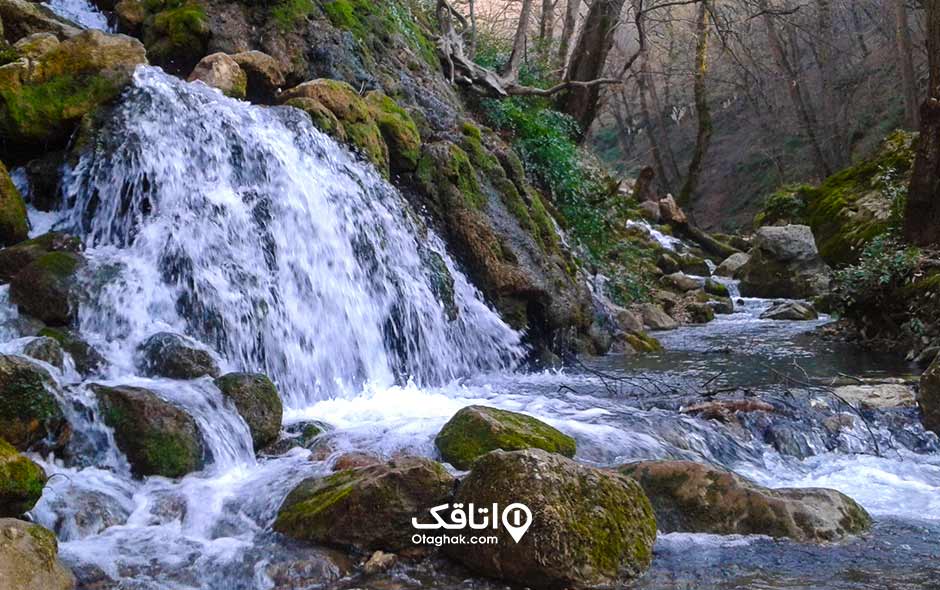 چشمه زاو 