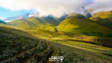 جواهر دشت