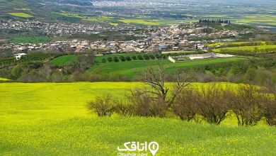 خلیل شهر کجاست