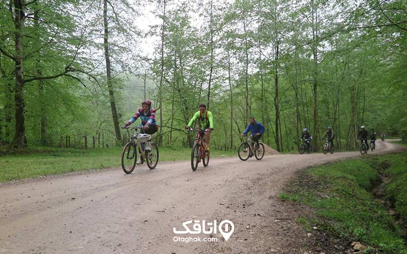 جاده ی خاکی بین جنگل و تعدادی دوچرخه سوار در حال رفتن به آبشار تودارک