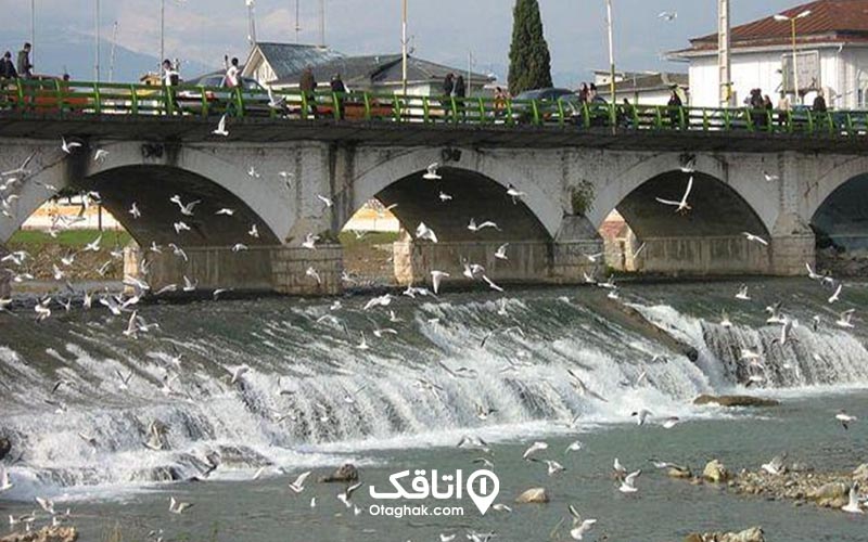 رودخانه در حال عبور از زیر پل و مرغ های دریایی در حال پرواز روی آن