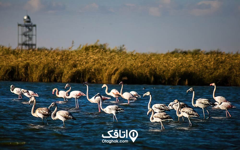 تالاب میقان یا نمکزار فراهان