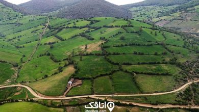 گلوگاه کجاست