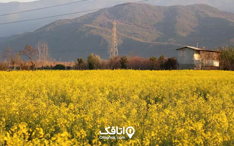 تپه تاریخی گراودین
