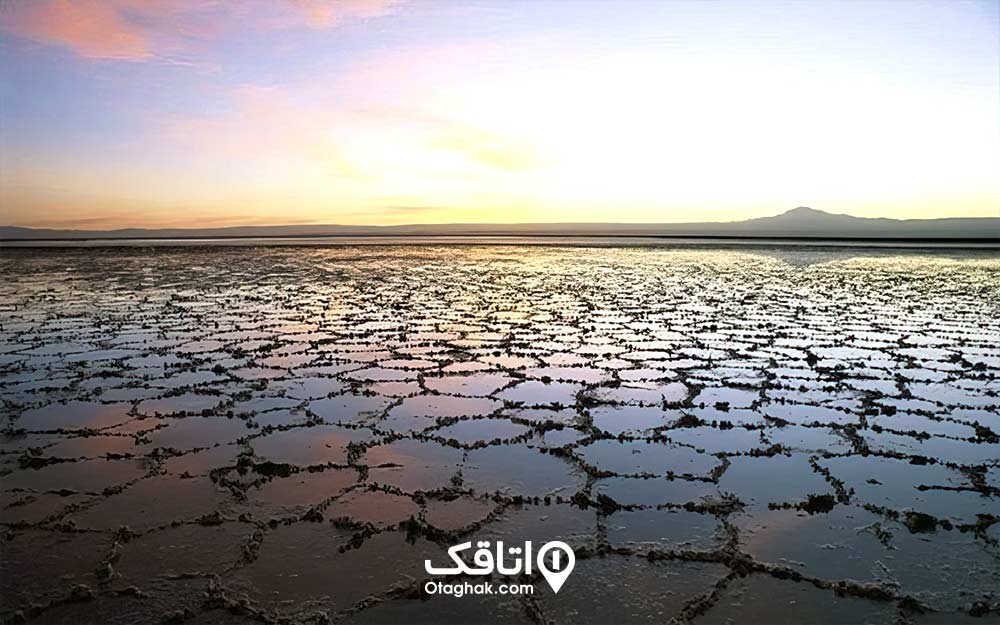 اشکال هندسی لانه زنبوری حاصل از رسوبات نمک در دریاچه نمک