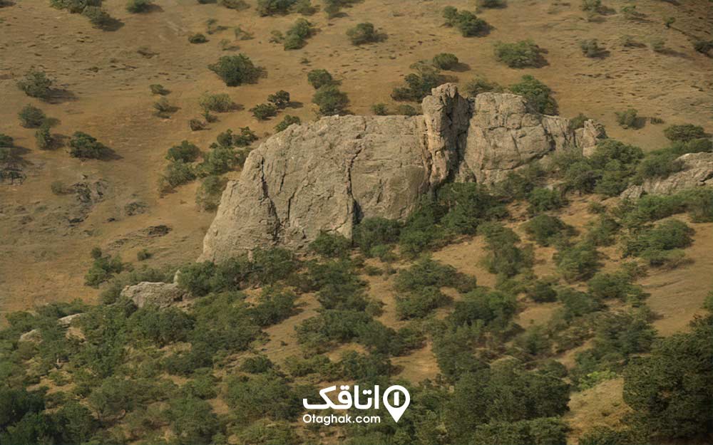 سخره ای شبیه به بچه فیل