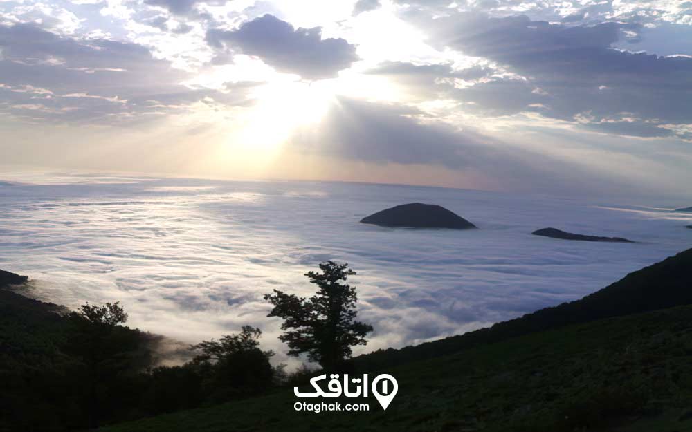 جنگل ابر روستای میرخمند