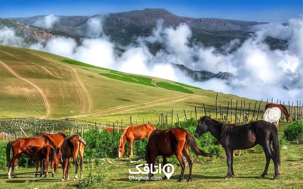 دشت سرسبز سوباتان و جنگل ابر روی آن