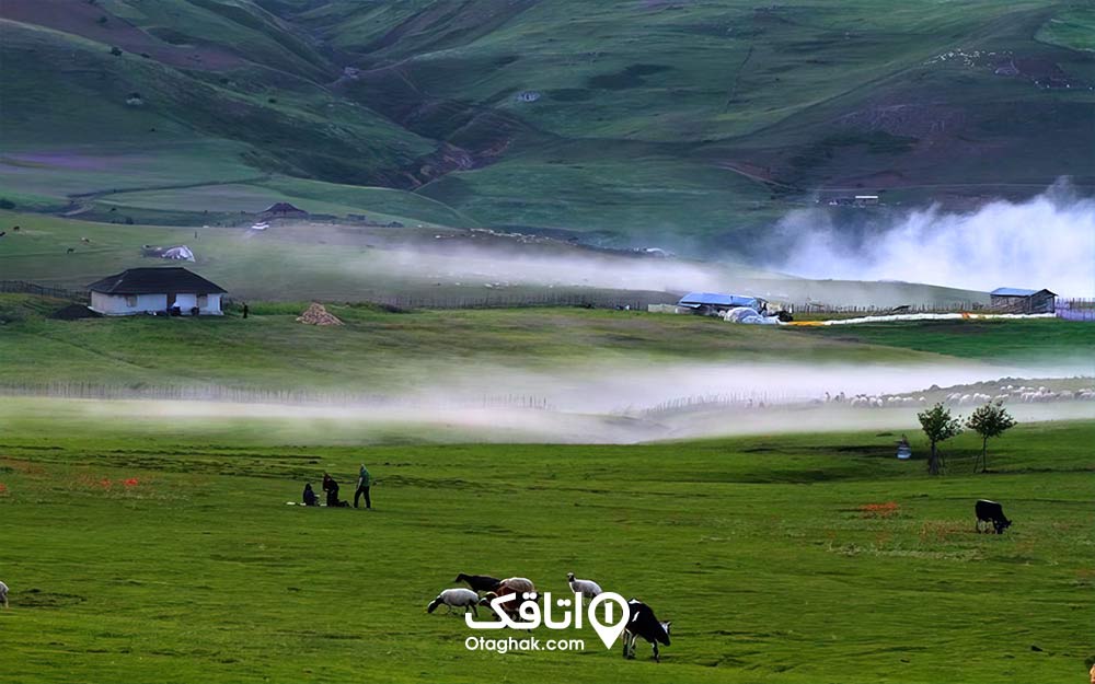 روستای شکر دشت