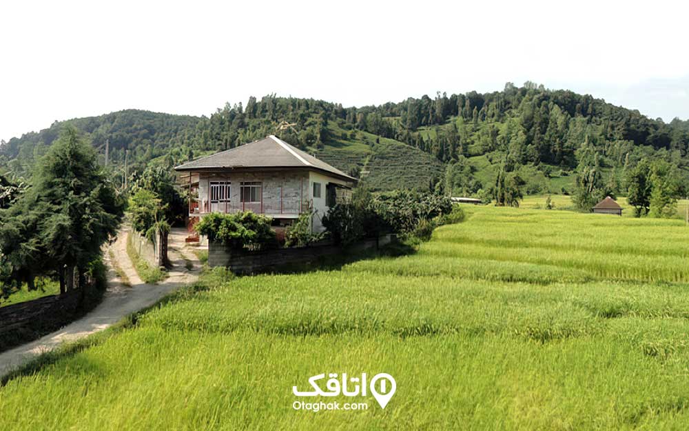 یک خانه با سقف شیروانی در میان طبیعت روستای قلعه گردن